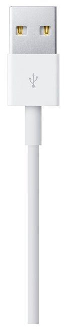Кабель Apple USB - Lightning (MD819ZM/A) 2 м